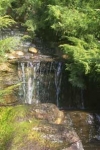 Bachblüten: Rock Water